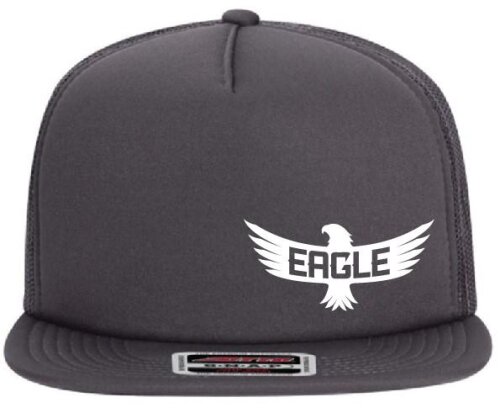 Discmania Eagle McMahon Snapback Trucker Hat grau