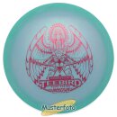 Jennifer Allen 2023 Tour Series Color Glow Champion Teebird