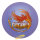 InnVision Star Firebird 173-175g violett-orange