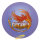 InnVision Star Firebird 171g violett-orange