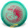 Jennifer Allen 2025 Tour Series Proto Glow Champion Teebird