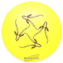 Limited Edition Star Gazelle