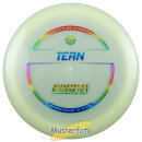 Proto Glow Champion Tern